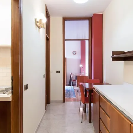 Daire Monolocale -